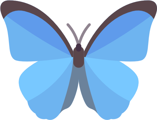 Butterfly Free Icon - Passo Fundo (512x512)