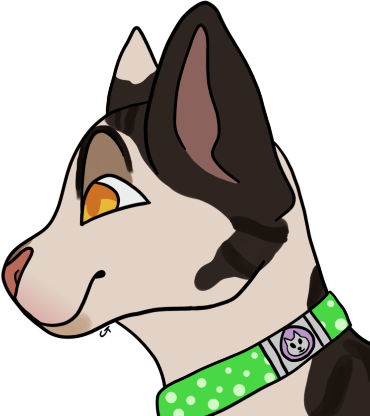 Image - Companion Dog (894x894)