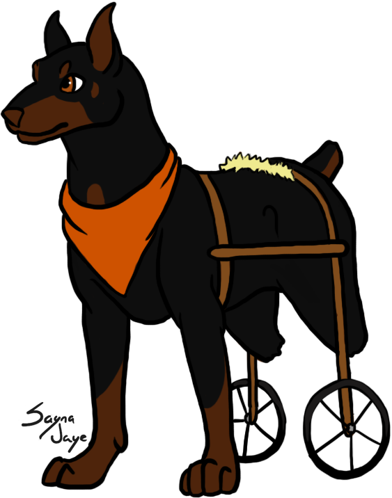 Here Is Rocksha - Dobermann (563x716)