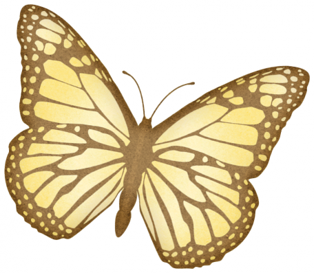 Oh Baby, Baby - Monarch Butterfly - Greeting Cards (pk Of 10) (456x397)