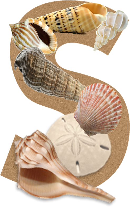 I Created A 4 Page Handout About The Techniques I Came - Classical Chill 2: Romantic Edition - Classical Chill (493x786)