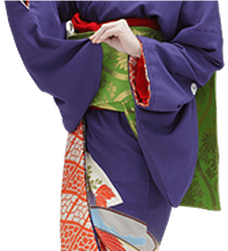 Traditional Geisha Girl - Geisha (800x491)