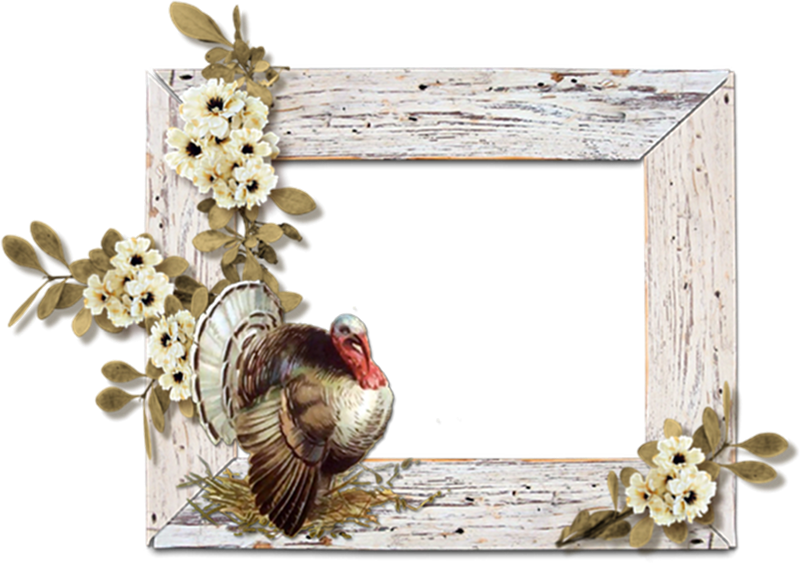 Digital Scrapbook Presentations - Digital Scrapbook Cluster Png (800x568)