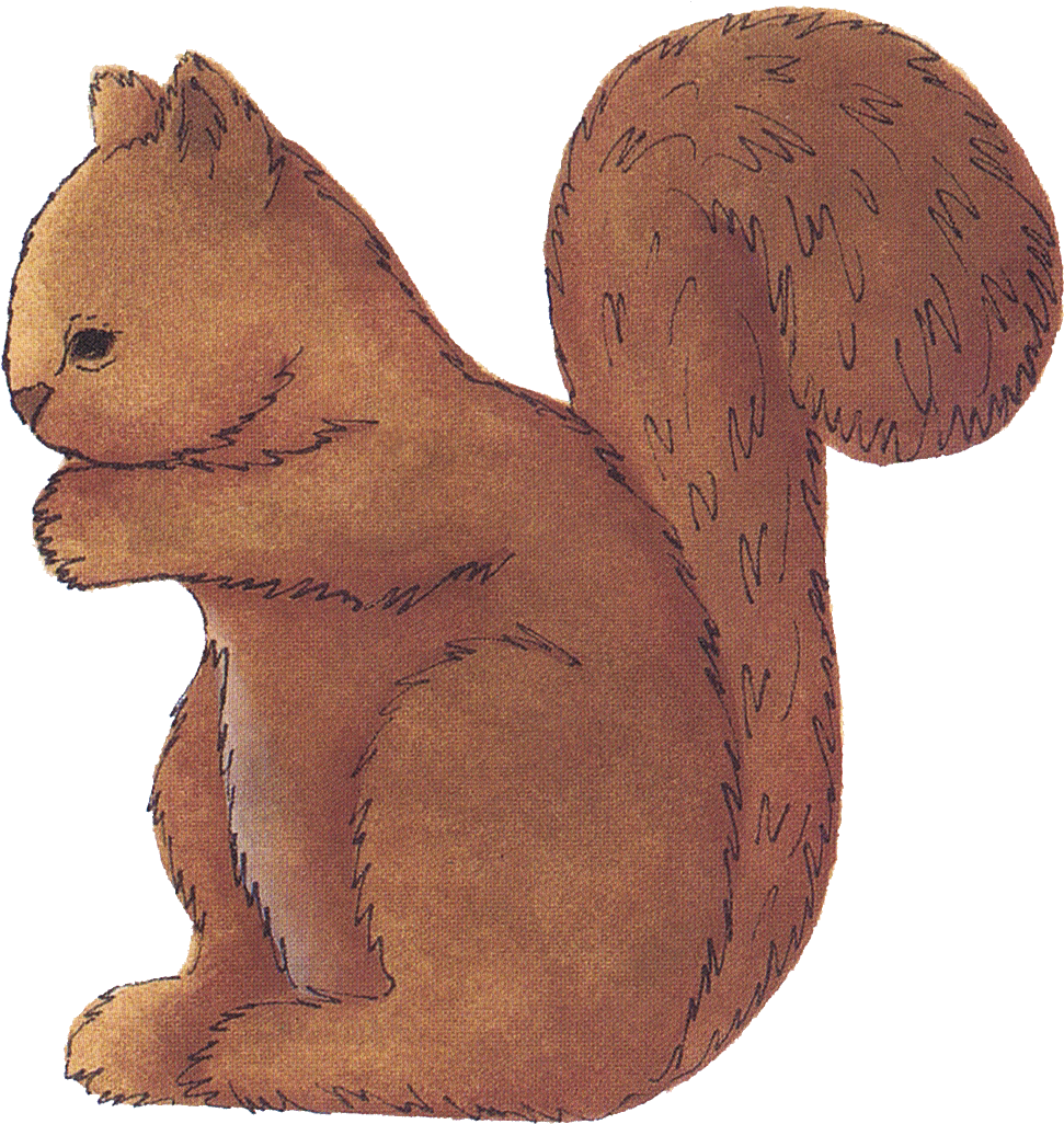 Free Squirrel Clip Art For Scrapbooking Or Decoupage - Eurasian Red Squirrel (1073x1071)
