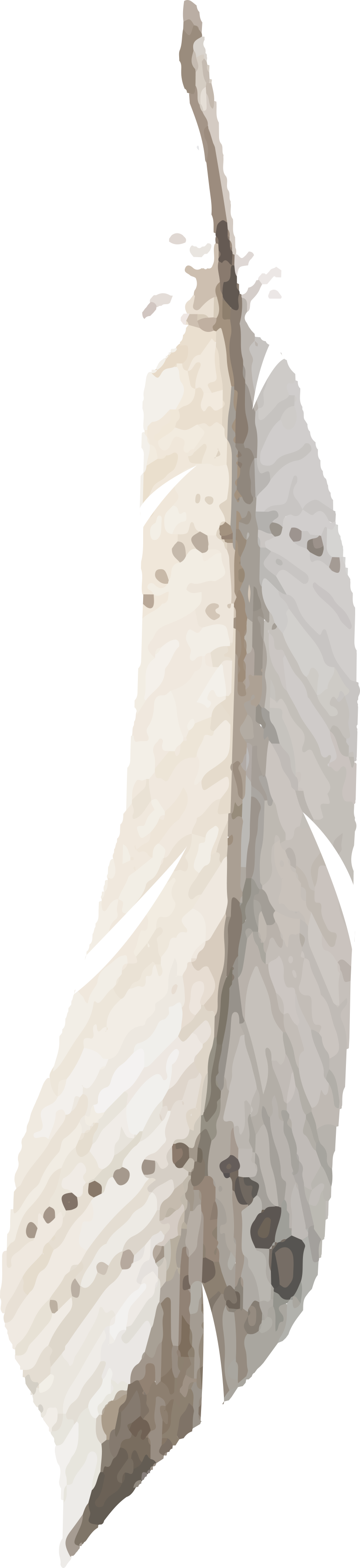 Paper Drawing Scrapbooking - Posterazzi Feather On Black 2 Poster Print (820x3567)