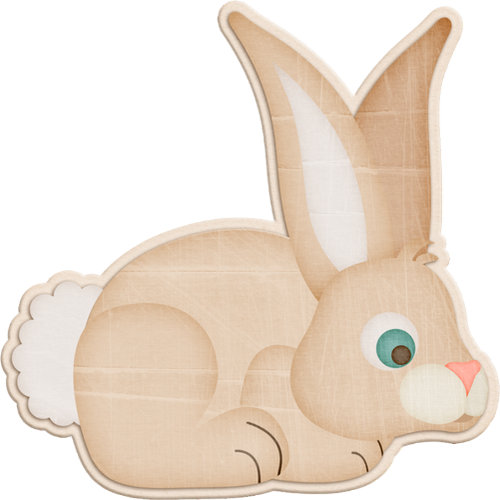 Domestic Rabbit (500x500)