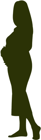 Woman Pregnant Silhouette Transparent Png - Uterus (512x512)