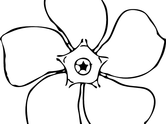 Daffodil Clipart Periwinkle - Outline Of A Flower (640x480)