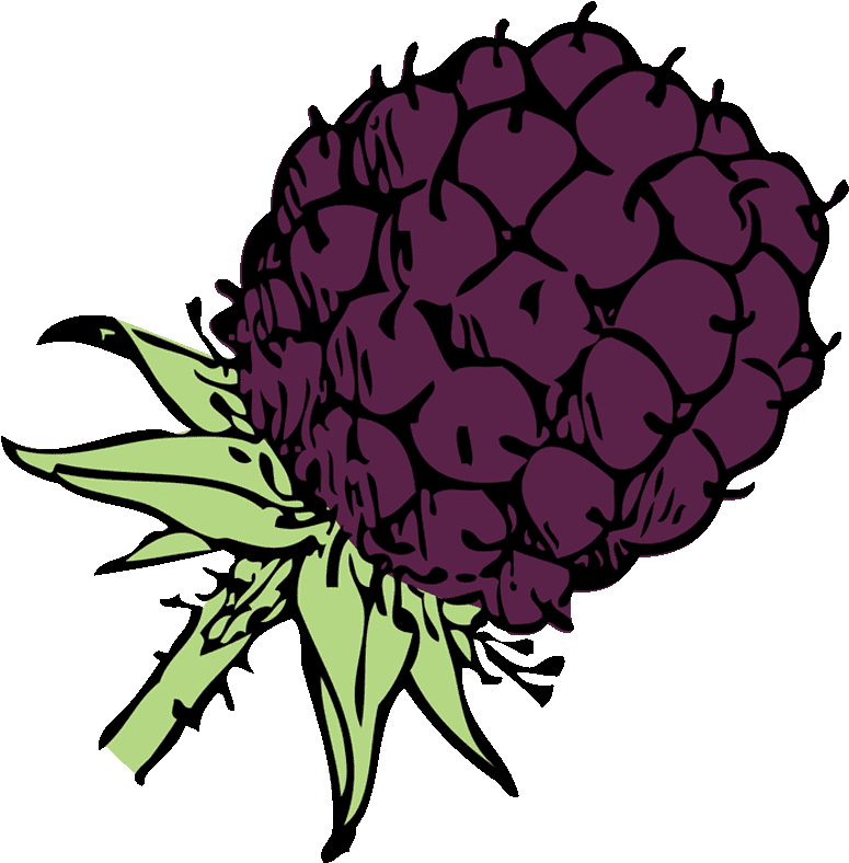 Clipart Buah Red Berry - Clip Art (1280x800)