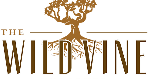Tapas Lounge & Wine Bar - The Wild Vine Uncorked (488x262)