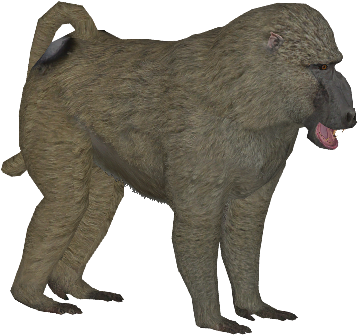 Olive Baboon M - Baboon Png (713x713)