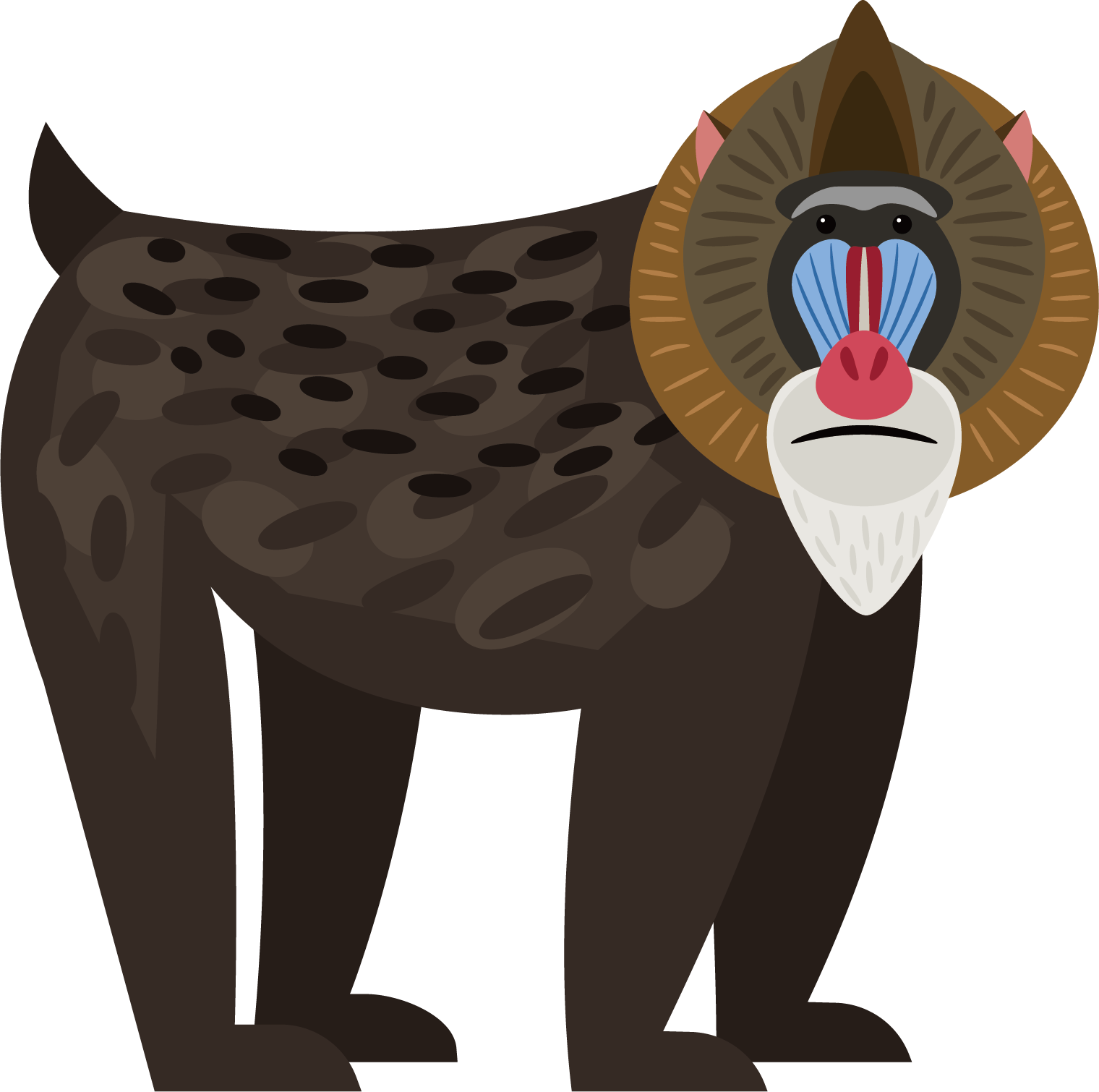 Baboon Clipart African Monkey - Paint Of Baboon (1520x1510)