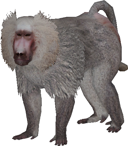 New Baboon - Zoo Tycoon 2 Hamadryas Baboon (456x505)