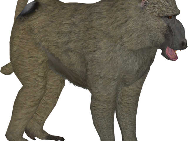Baboon Png Transparent Images - Baboon Png (640x480)