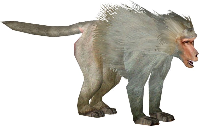 Baboon Png Transparent Images - Hamadryas Baboon Png (810x810)