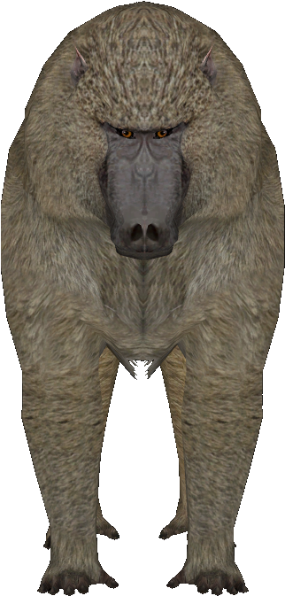 Posted Image - Fang (437x762)