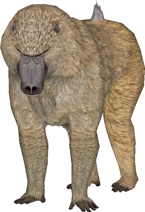 Here Is A Preview Of My Olive Baboon Using Rr's Mandrill - Punxsutawney Phil (648x779)