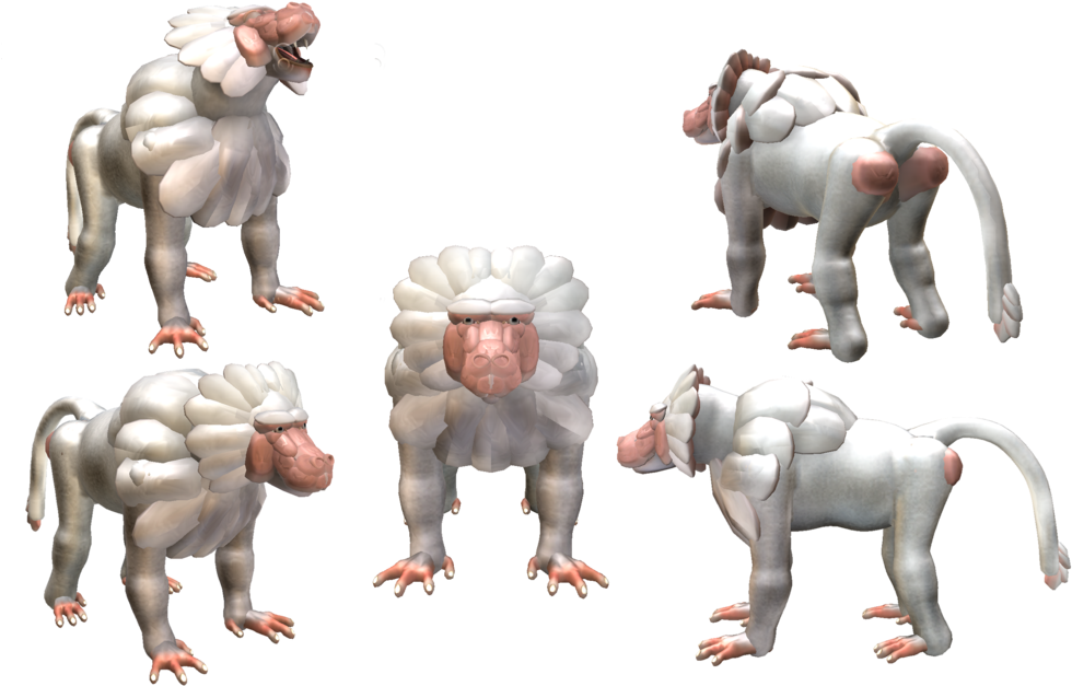 Hamadryas Baboon By Evilution90 - Baboon (1024x640)