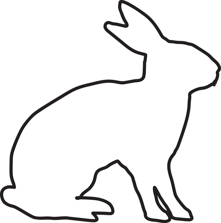 Rabbit, Animal, Bunny, Hare, Ears, Easter Holidays - European Rabbit (712x720)