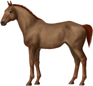 Symphony - Horse (450x300)