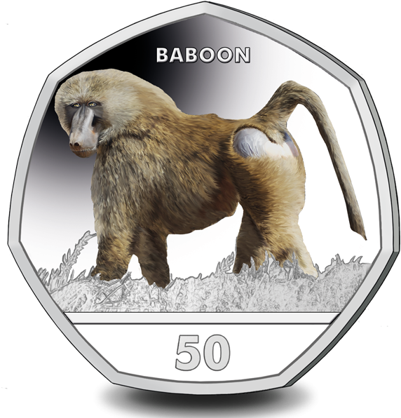 The Baboon Is Now Available To Pre-order On Our Website - Baboons (600x600)