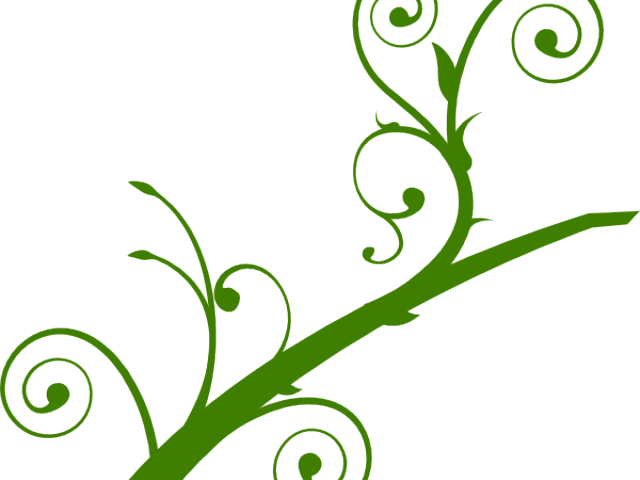 Green Branch Cliparts - Tree Branch Clip Art (640x480)