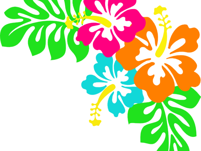 Tropical Flowers Cliparts - Hibiscus Clip Art (640x480)