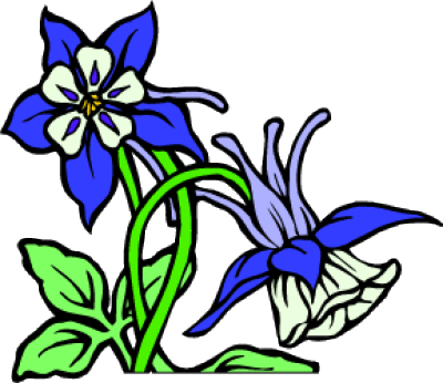 Colorado Flower - North Carolina State Symbols (400x346)