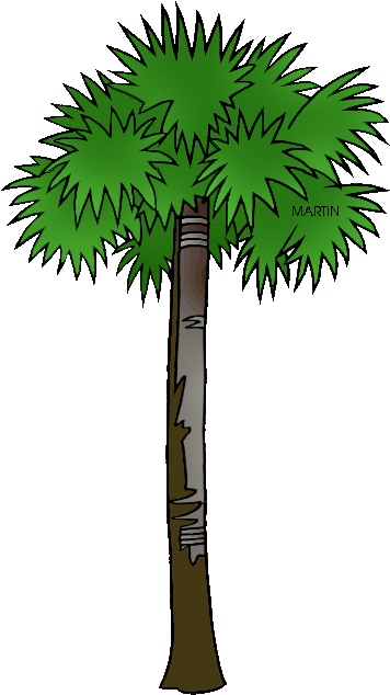 Vector South Carolina Palmetto Tree - South Carolina State Tree (368x648)
