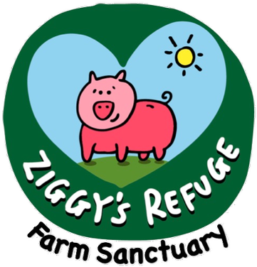 Ziggy's Refuge - Ziggy's Refuge Animal Sanctuary (400x400)