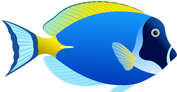 Tubes Poissons - Coral Reef Fish Clipart (645x345)