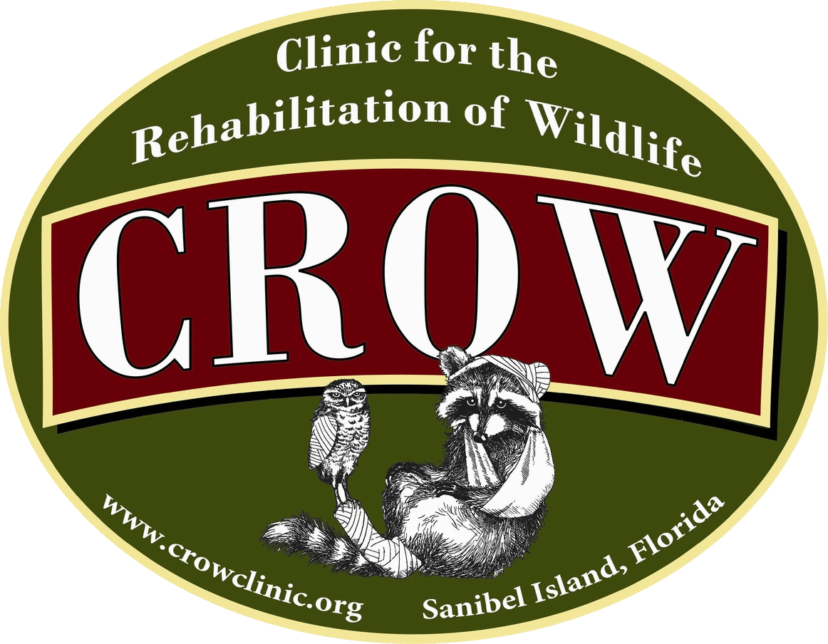 Crow Logo - Goldson Spine (1162x904)