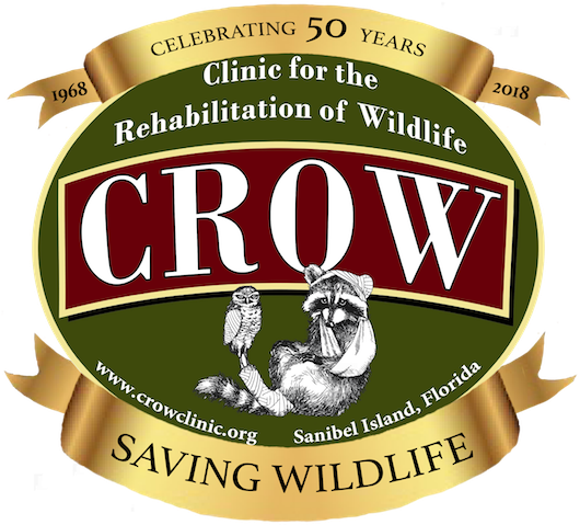 Crow Logo Crow Logo - Logo (537x480)
