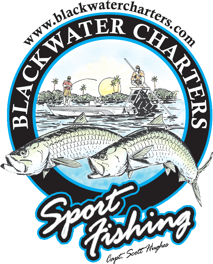 Tarpon Fishing Charters Sanibel Fort Myers - Fishing Charter T Shirt (711x882)