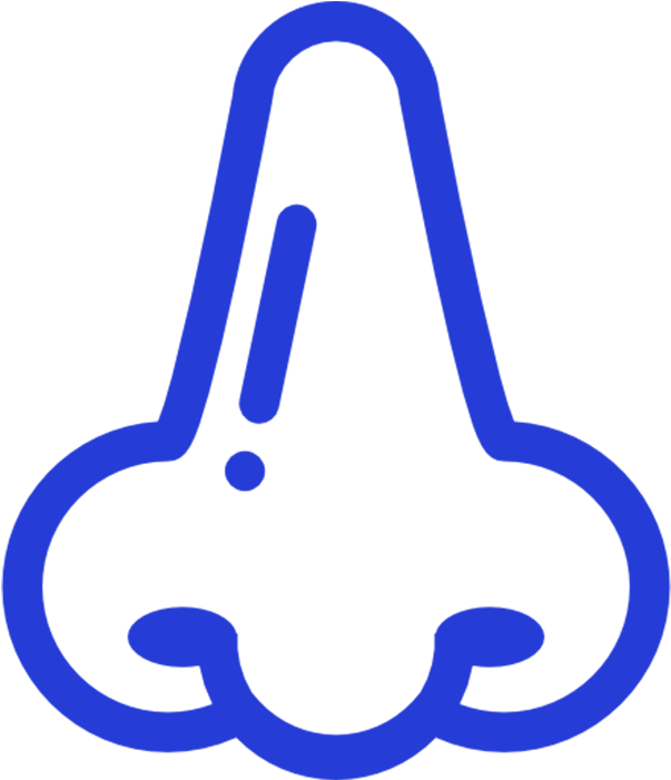 Allergies - Human Body (700x700)