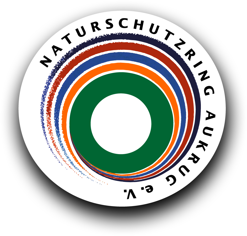 Ss Logo] 991*977 Transprent Png Free Download - Youth Employment Services (991x977)