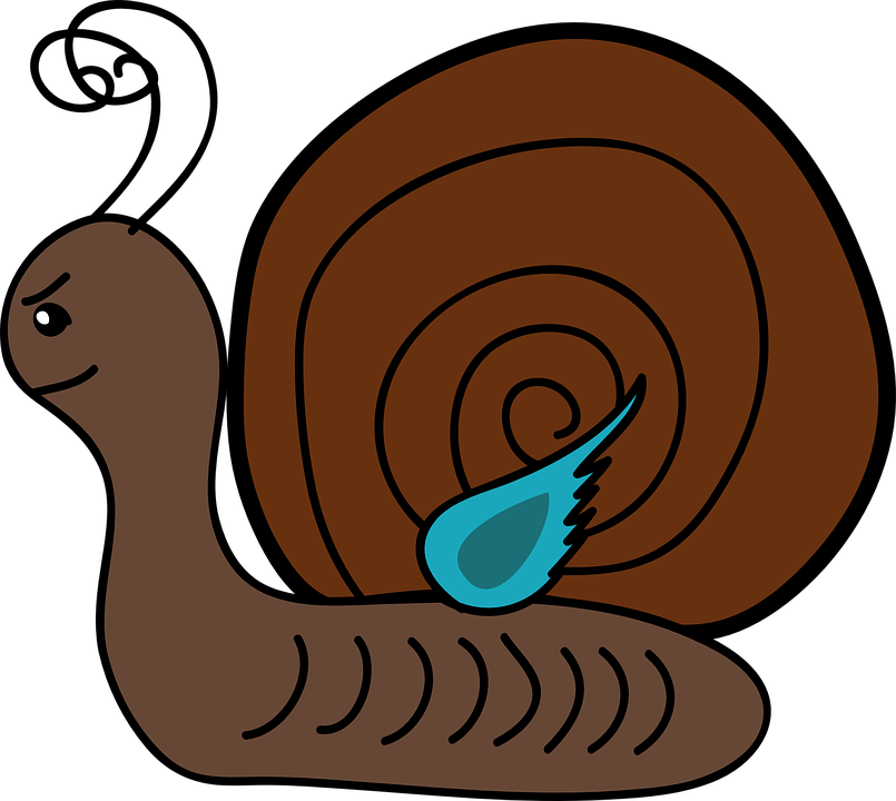 Cartoon Snail 8, Buy Clip Art - Slug Cliparts (805x720)