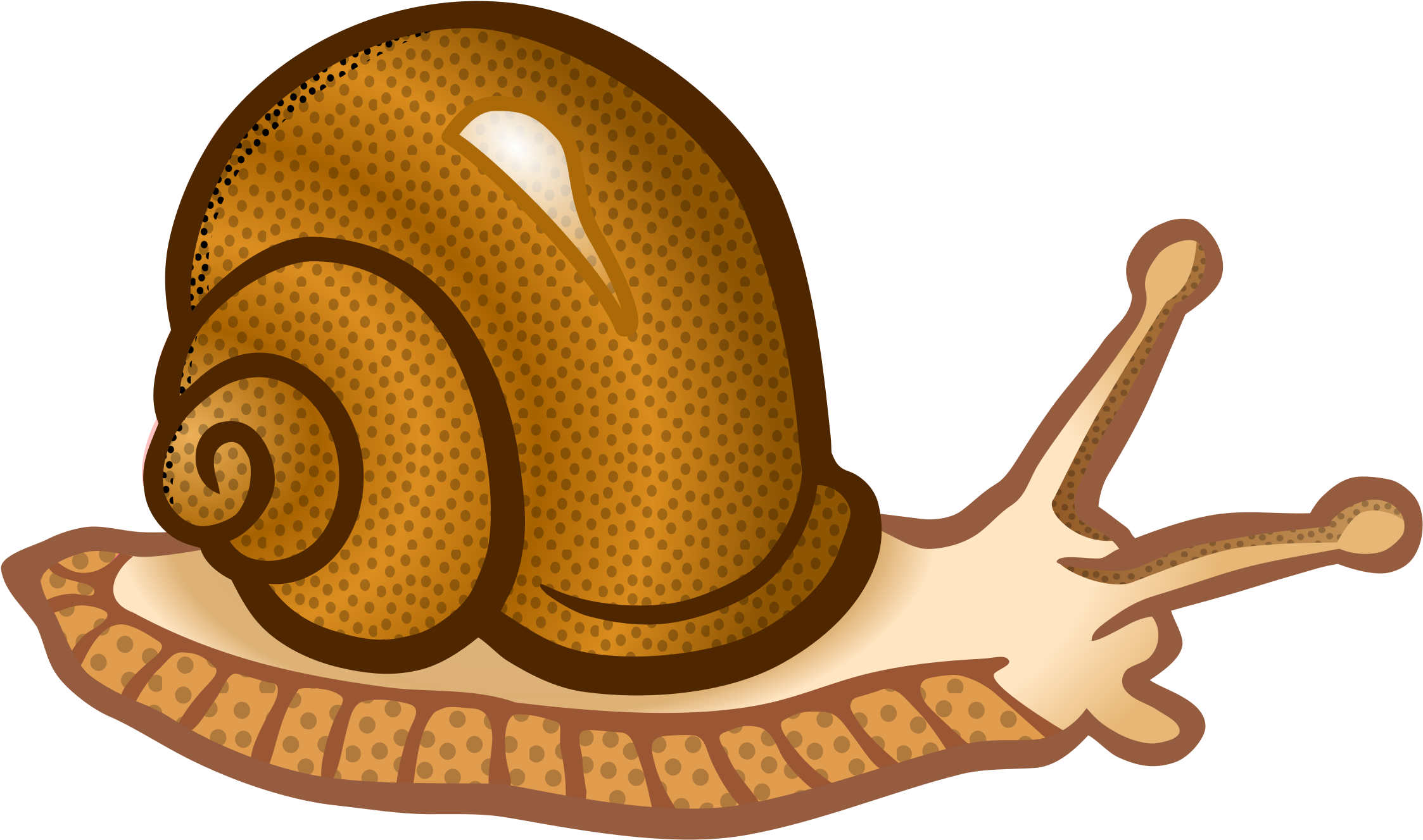 This Free Icons Png Design Of Snail - Snail Cliparts (2400x1481)