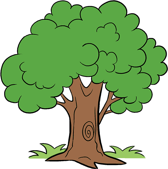 Unlimited Cartoon Tree Picture How To Draw A Easy Step - Draw A Cartoon Tree (678x600)