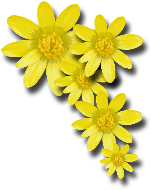 Yellow Flowers, Png V - Yellow Flowers Png (720x720)