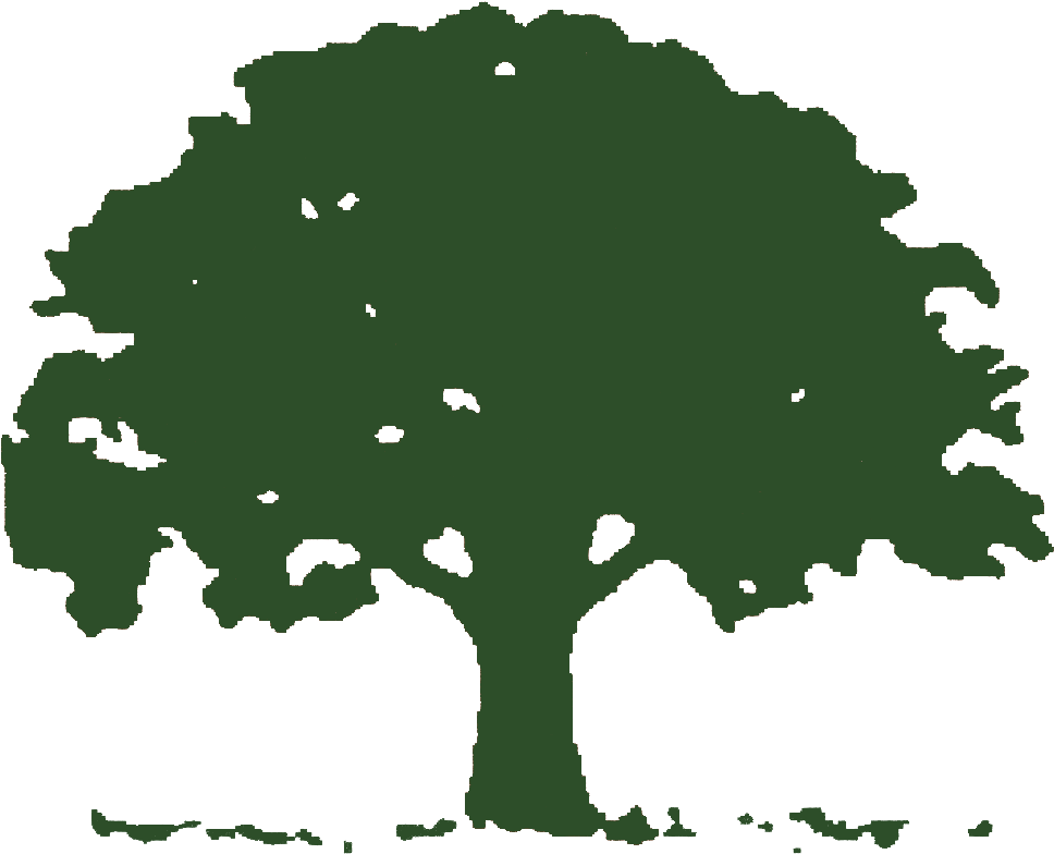 Landscaping Tree Clipart Clipart Kid - Oak Tree Logo Free (991x816)
