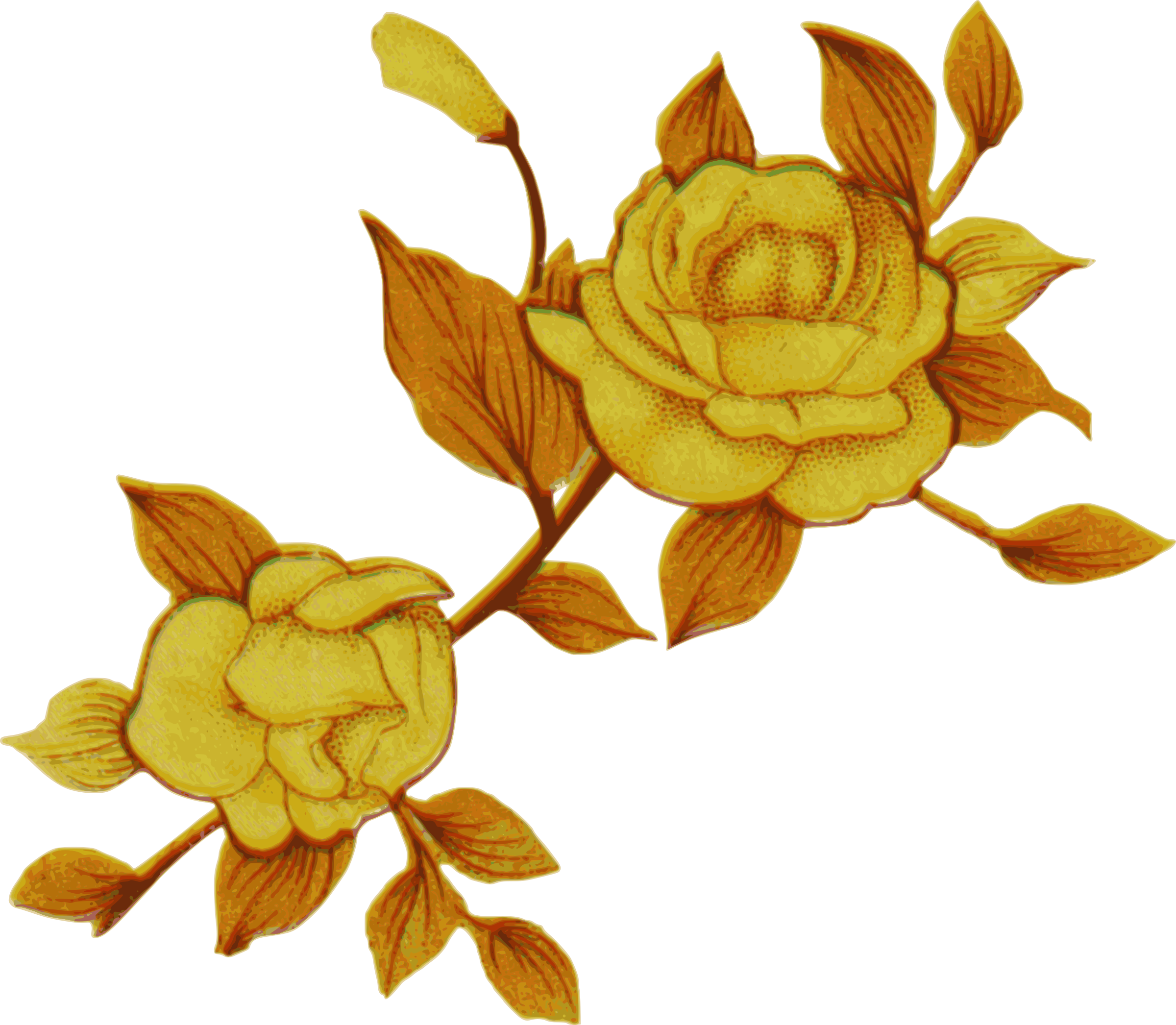 Yellow Flowers - Yellow Flowers Png (2400x2092)