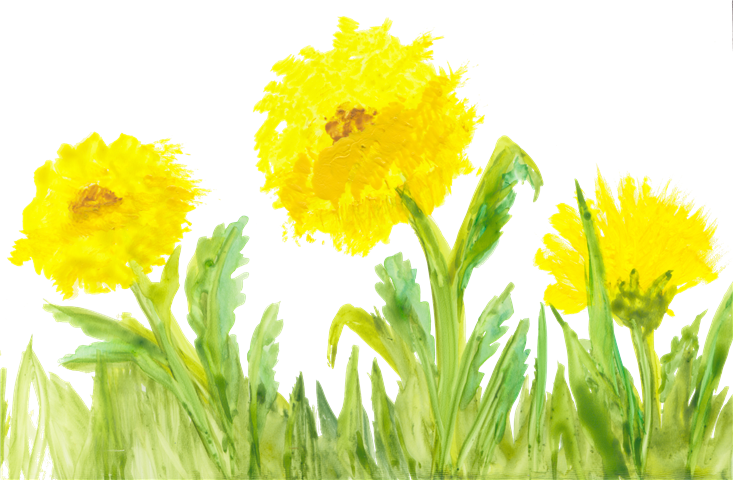 33, Yellow Flowers, - Yellow Watercolor Flower Png (733x480)