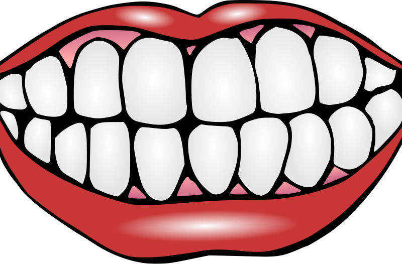 Stunning Clip Art Tooth Mouth With Teeth Clipart Free - Cartoon Image Of Teeth (800x526)