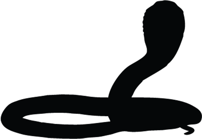 We Foster Support For Snake Conservation - Cobra Silhouette Png (1073x751)
