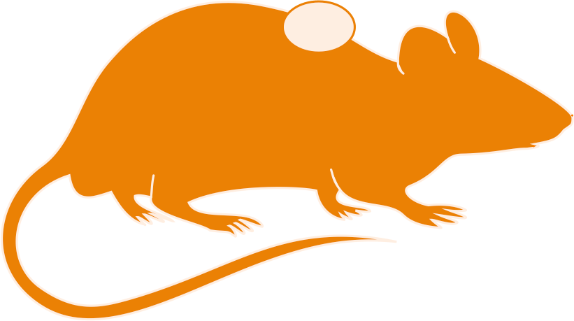 Mouse Brain Clipart 3 By Matthew - Orange Rat Silhouette Transparent (821x459)