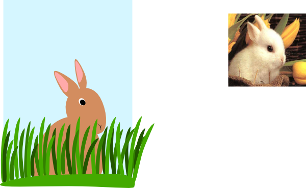 Rabbit Grass Clipart (600x368)