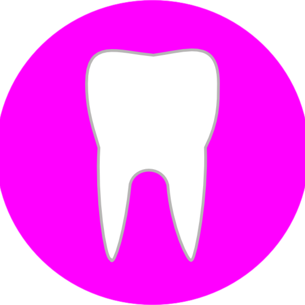 Clipart Tooth Tooth In Circle Clip Art At Clker Vector - Student Button Png Icon (1024x1024)