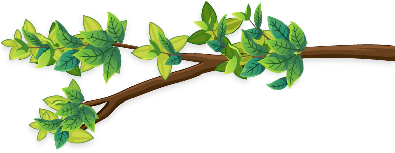 The Buffalo Zoo Has Some Of The World's Most Exotic, - Bay Laurel (780x342)