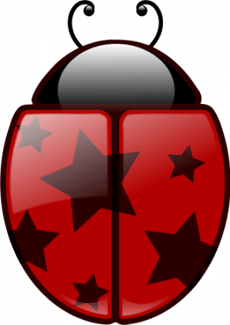 Clipart Png Joaninhas - Lady Bug (323x456)